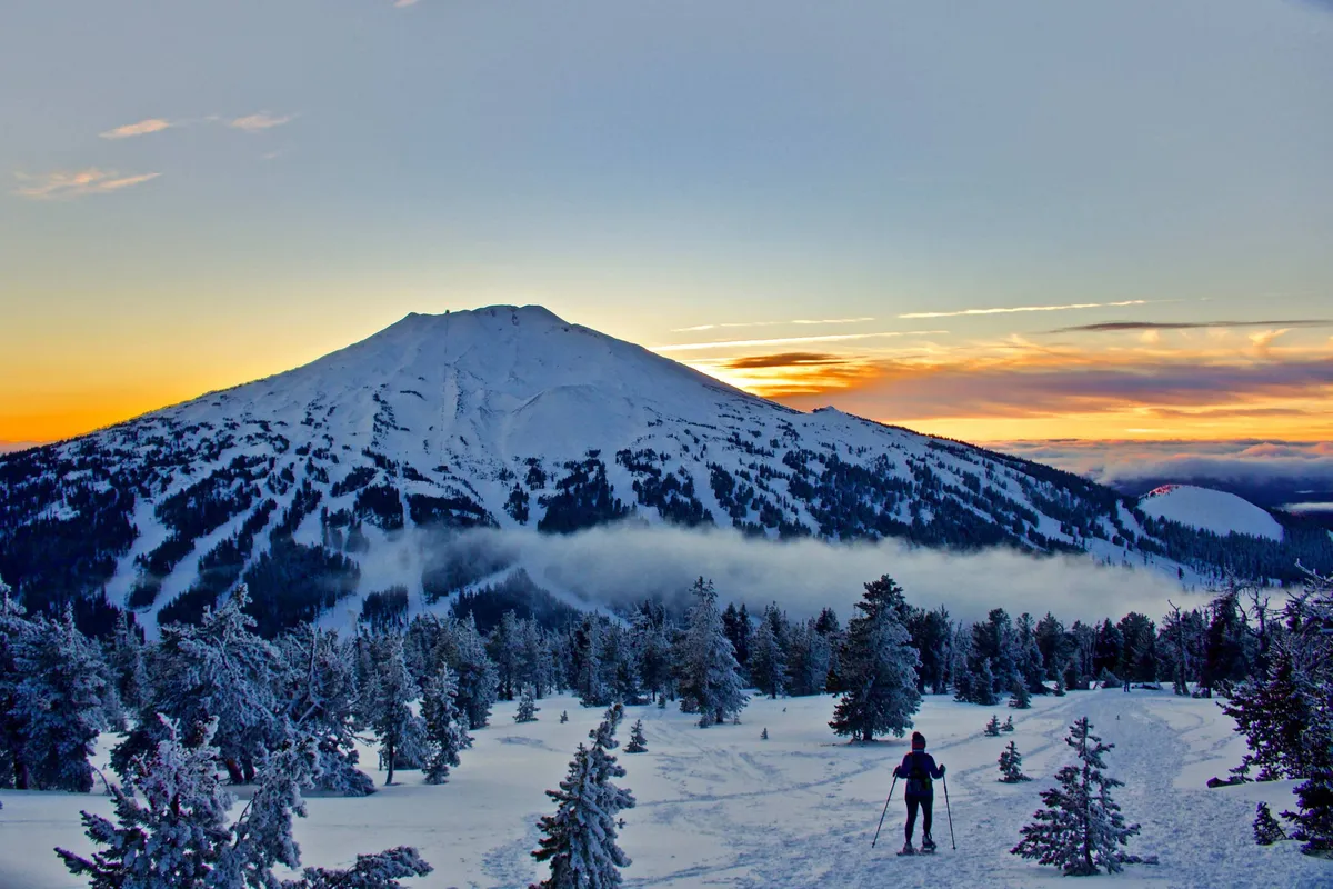 A snow-covered mountain rises above a forest of pine trees, with a skier gliding across the pristine landscape. The scene is outdoors, with bright winter light and dramatic natural scenery.