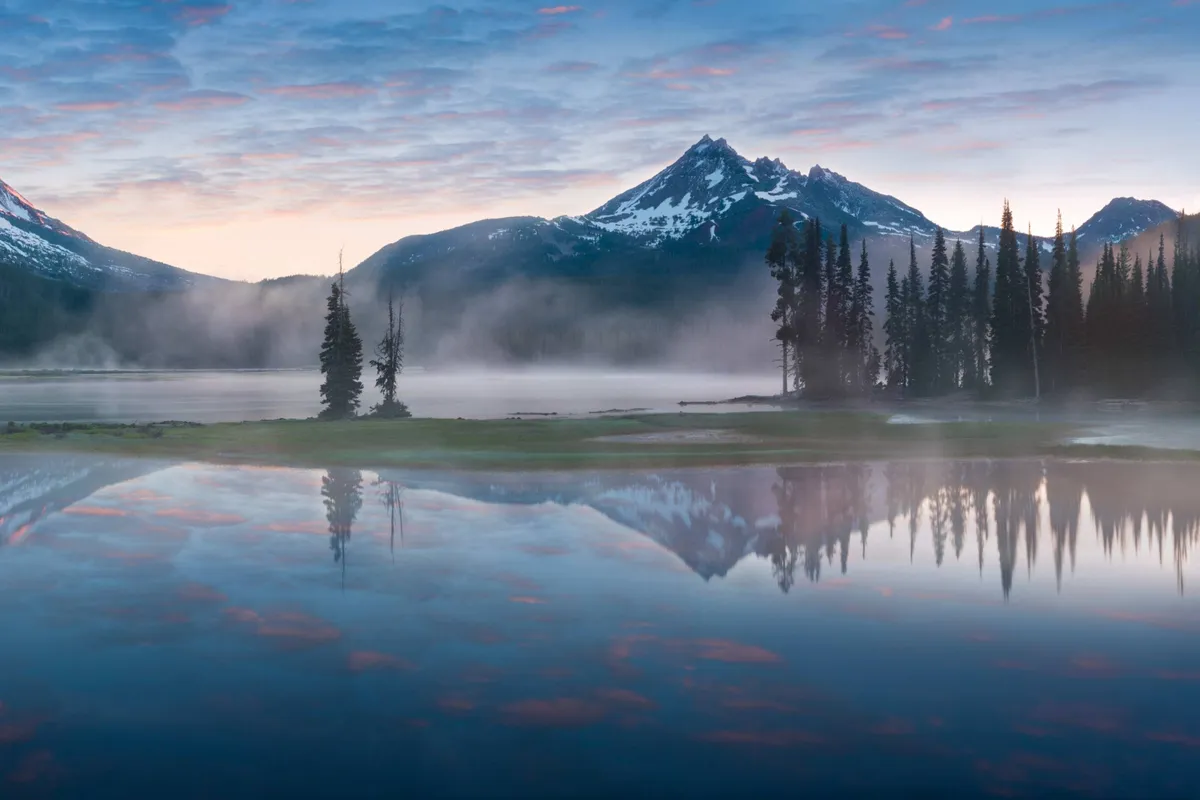 A tranquil mountain lake surrounded by pine trees, with mountains and an expansive sky in the distance. The scene exudes calm and offers a sense of wide-open space, perfect for peaceful walks or moments with your pet.